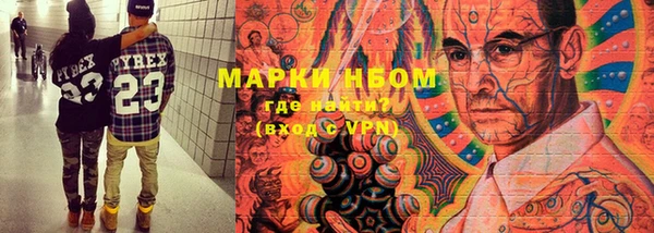 дмт Алзамай
